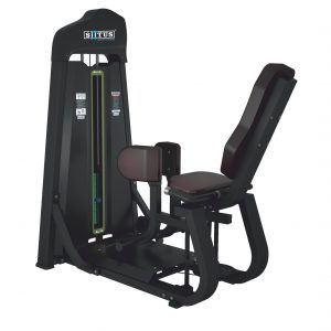 BX22 - Adductor B