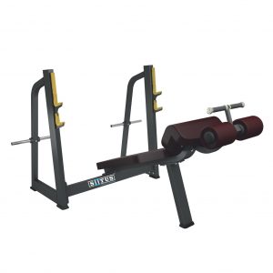 BX41 - Olympic Decline Bench