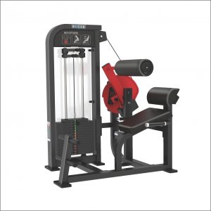 HX21 - Back Extension