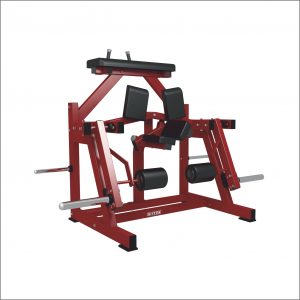 MX66 - Leg Curl & Extension