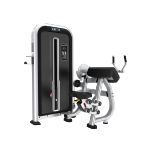 YX06 - TRICEPS PRESS