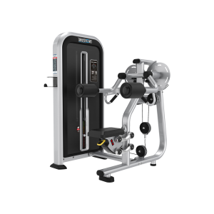 YX07 - LATERAL RAISE