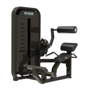 ZX23 - BACK EXTENSION