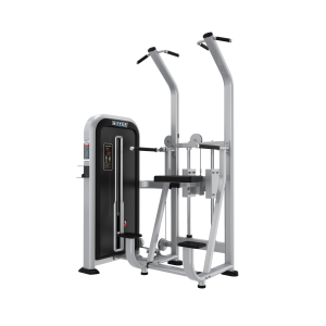 YX24 - DIP-CHIN ASSIST