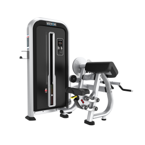 YX26- BICEPS-TRICEPS