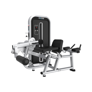 YX28 - HORIZONTAL AND SEATED LER CURL