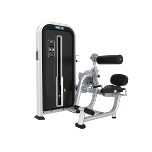 YX31- ABDOMINAL CRUNCH- LOWER BACK