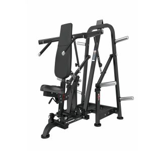 DZ 102 SHOULDER PRESS