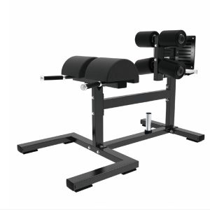 DZ 31 HORIZONTAL ROMAN CHAIR