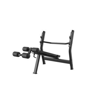 ZH 24A DECLINE BENCH PRESS