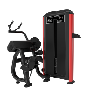 DT RED FX06-TRICEPS PRESS