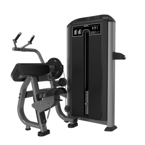 ELVIS GREYFX06-TRICEPS PRESS