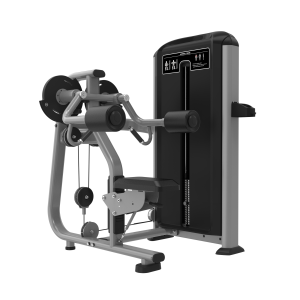 ELVIS GREYFX07-LATERAL RAISE