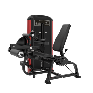 DT RED FX25-SEATED LEG CURL EXTENSION