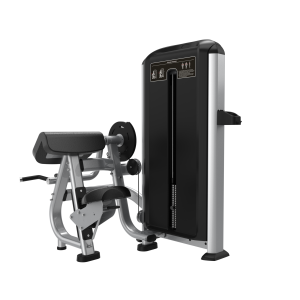 SILVER FX05-ARM CURL