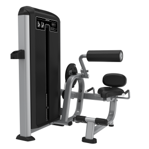 SILVER FX11-BACK EXTENSION