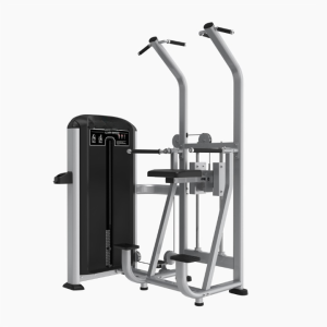 SILVER FX24- DIP / CHIN ASSIST