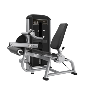 SILVER FX25- SEATED LEG CURL/EXTENSION