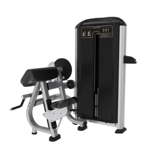 SILVER FX26-BICEPS/TRICEPS