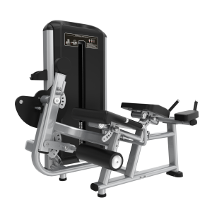 SILVER FX28-PRONE LEG CURL/EXTENSION