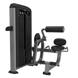 ELVIS GREYFX11-BACK EXTENSION